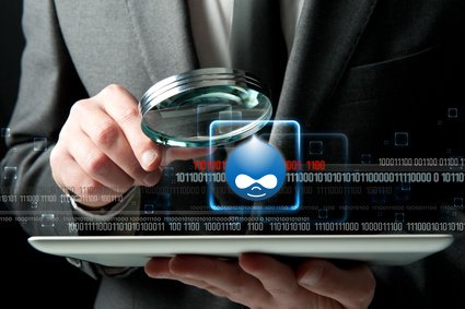 Drupal security audit